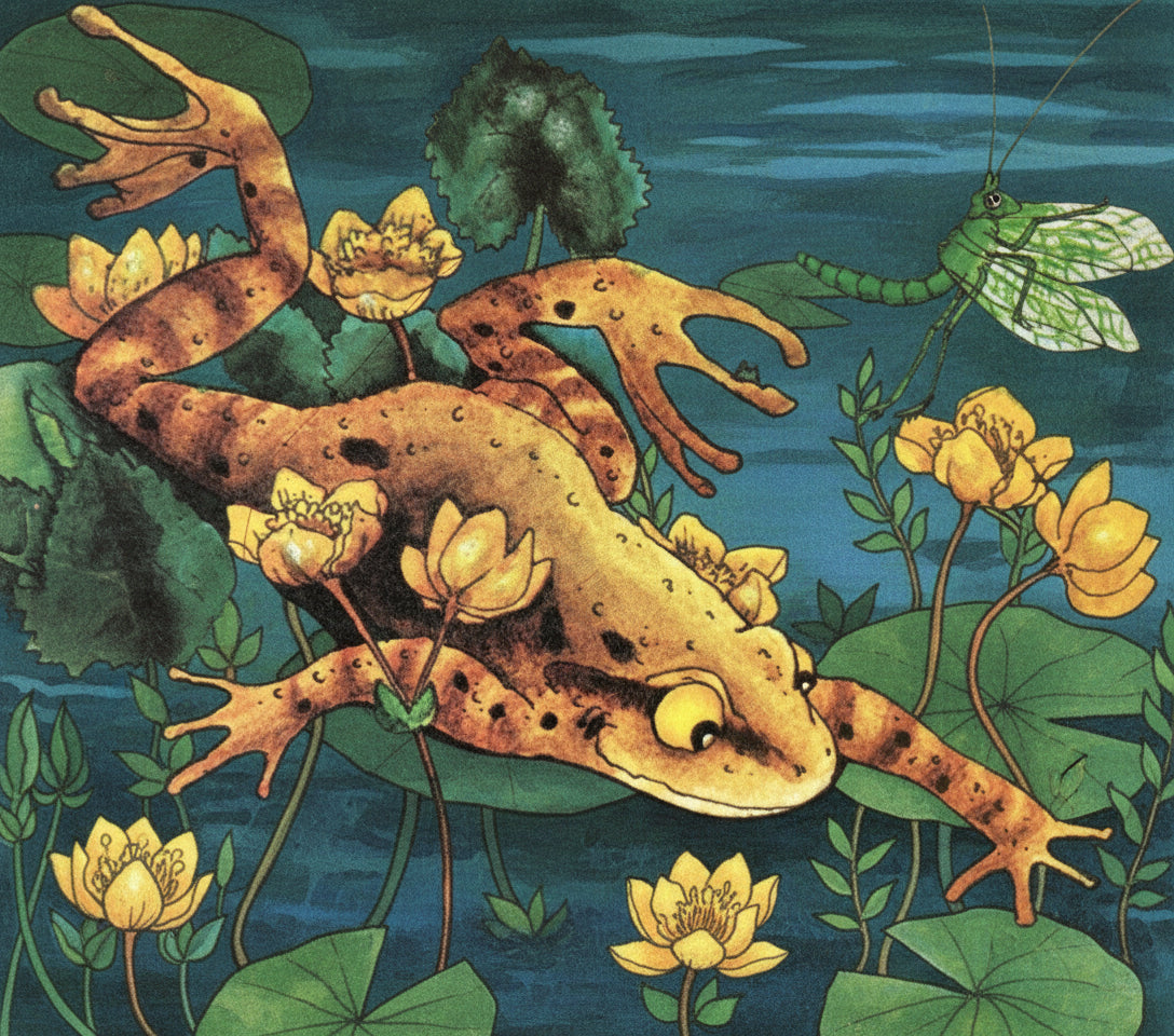 Herbicide application- coming in March